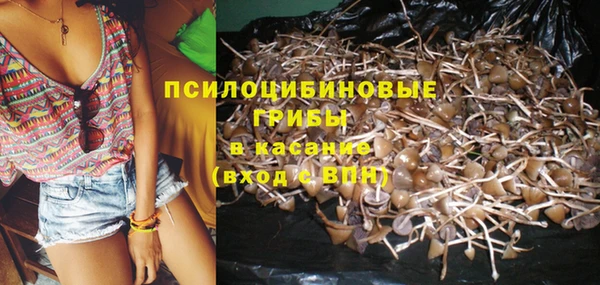 стафф Алексеевка