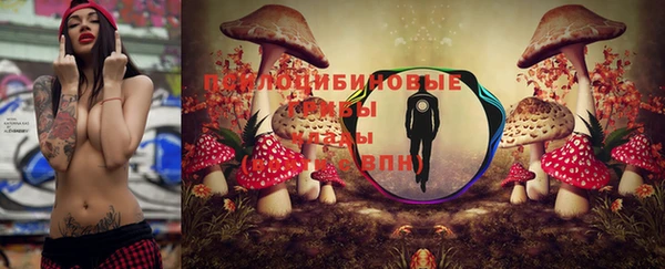 стафф Алексеевка
